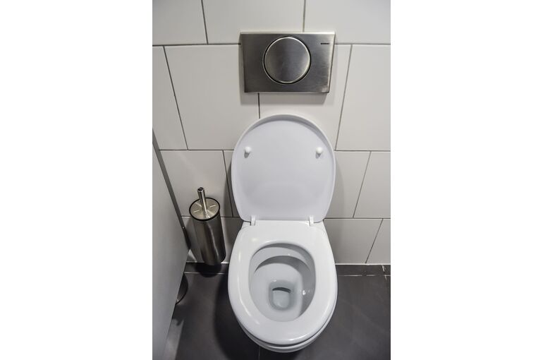wc-toilet-purely-public-toilet
